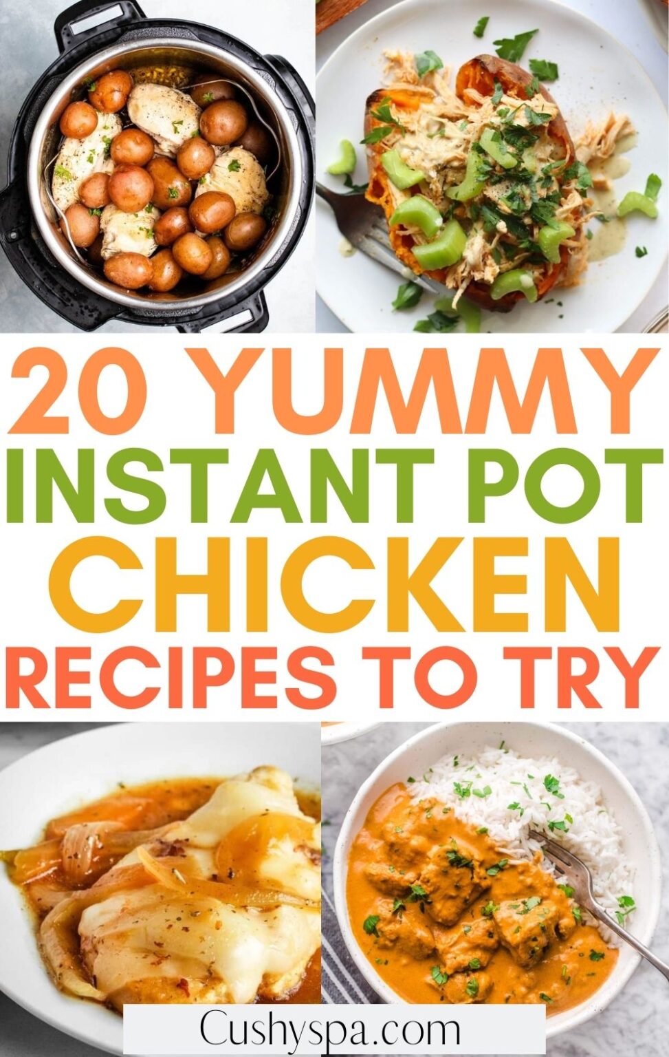 20 Tasty Instant Pot Chicken Recipes - Cushy Spa