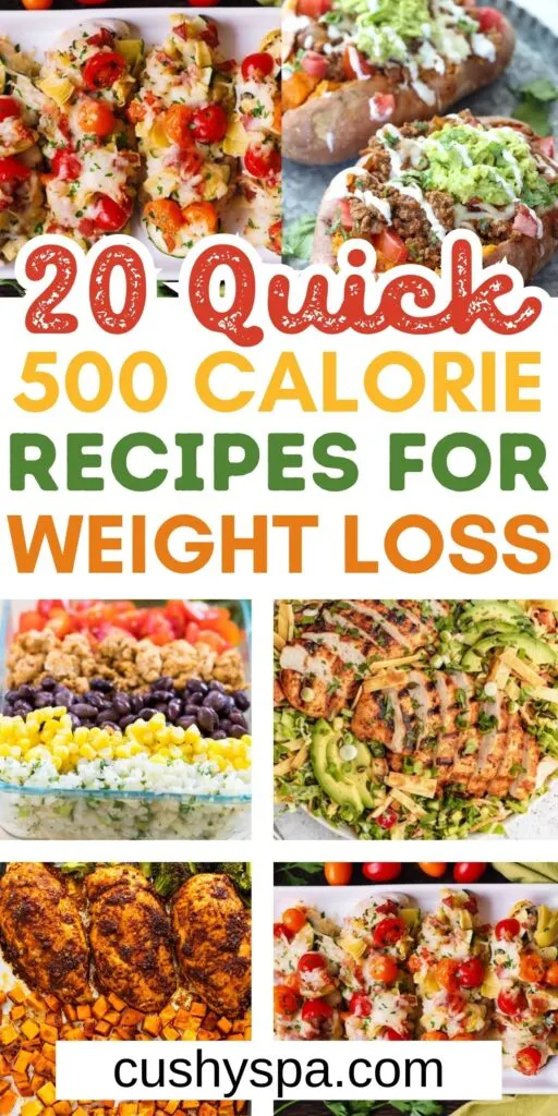 20 Yummy 500 Calorie Meals You're Going to Love - Cushy Spa