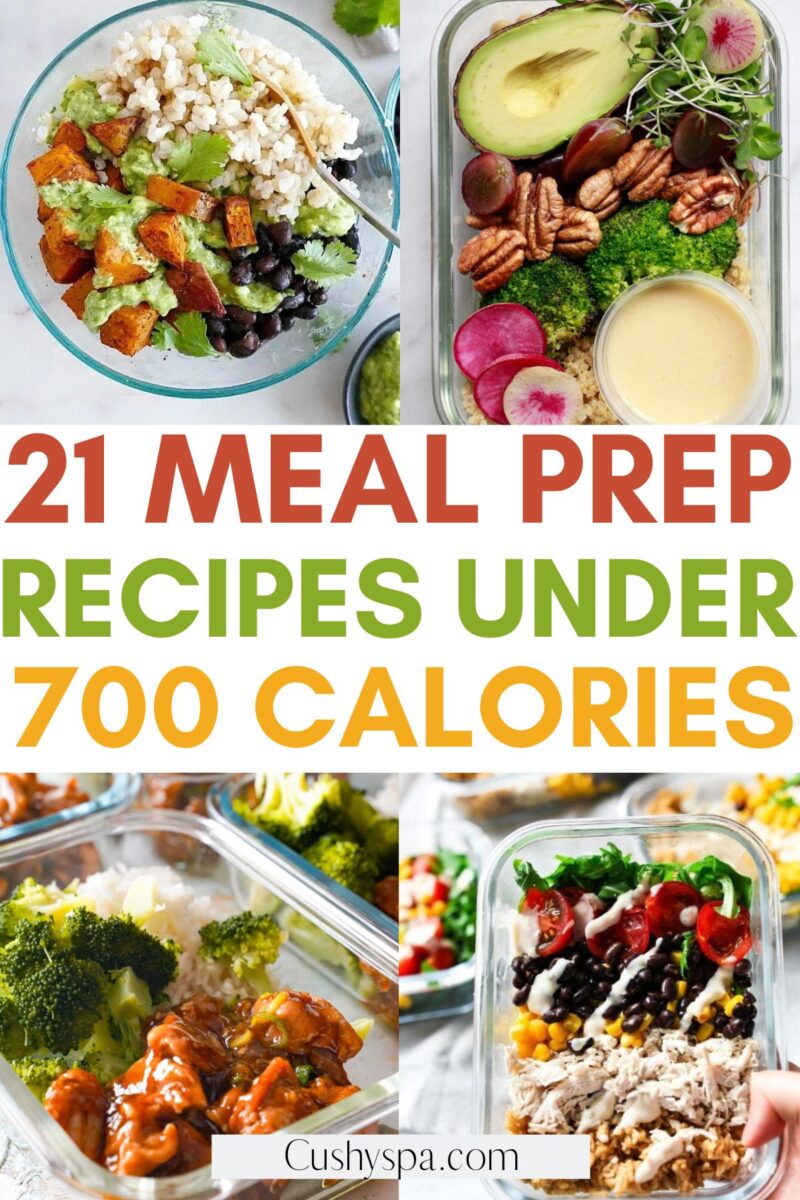 21 Meal Prep Ideas Under 700 Calories - Cushy Spa